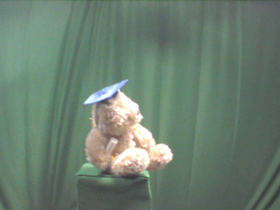 90 Degrees _ Picture 9 _ Light Brown Teddy Bear Wearing Blue Graduation Cap.png